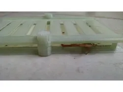 Scorpion Trap