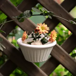 Flatback Planter