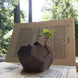 Angular Plant Pot