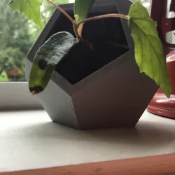 Dodecahedron Planter