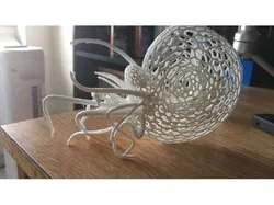 Nautilus!