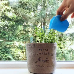 Small Modern Watering Can