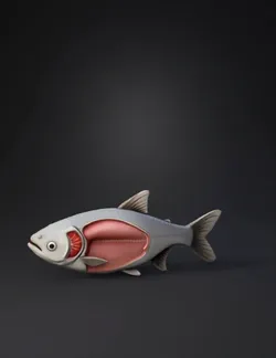 fish with cutaway anatomy showing internal muscles and organs