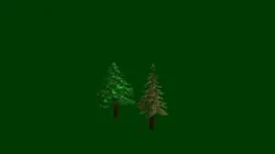 Pine modeling