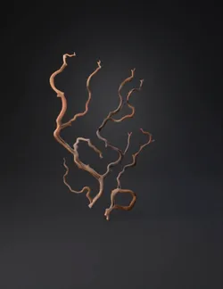 twisted tree branches with natural wood texture in brown