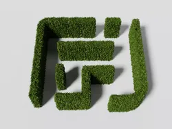 Garden boxwood wall set v3 Low-poly 3D model