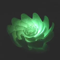 Lotus-like flower