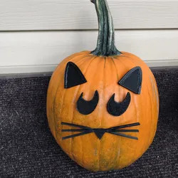 MR.PUMPKIN HEAD/ HALLOWEEN CAT PUMPKIN FACE/ KIDS HALLOWEEN CRAFT