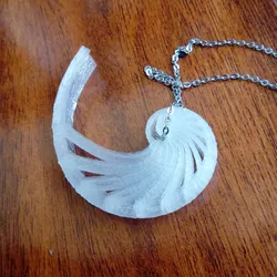 Nautilus shell