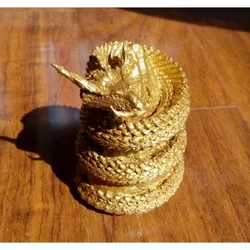 Spiral dragon