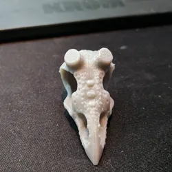rave skull