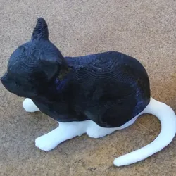Cat with smooth finish