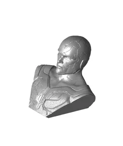 Vision Bust