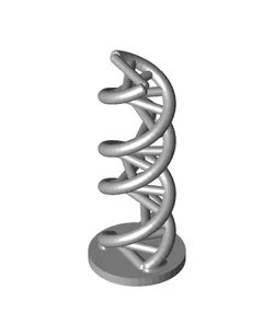 DNA_Model