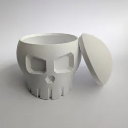 Skull Box with Cranial Lid
