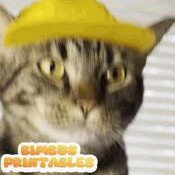 Baseball Cat Cap