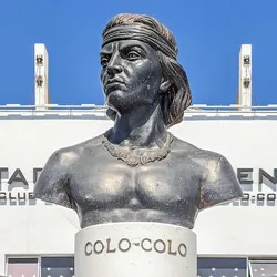 Colo colo
