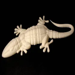 Gecko