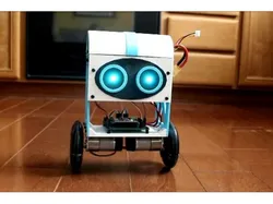 Zippy 2.0: Arduino Nano Balancing Robot