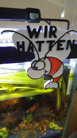 Zwerggarnelen - Aquarium Essens-Schild