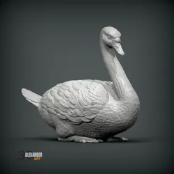 Mute swan 3D print model