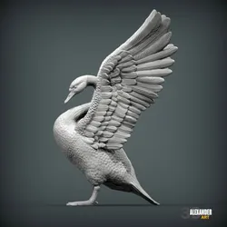 Mute swan with wings raised