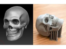 Skull