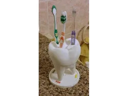Tooth for family brushes