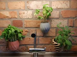 wallmounted flowerpot