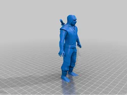 Arctic Ninja