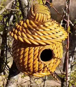 Bird House Rope