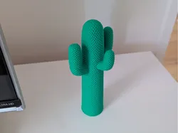 Cactus Decor - Free 3D Print Model