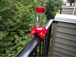 Humming Bird Feeder Holder