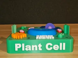 Plant Cell - Free 3D Print Model