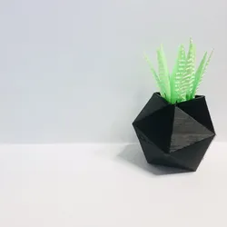 Poly Planter