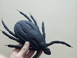 tick rocky mountain - Free 3D Print Model
