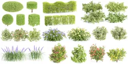 24 Bush models collection vol 240-Blender 3D Model Pack