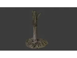 Tree Trunk Scan