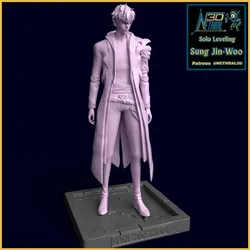 Solo Leveling: Sung Jin-Woo