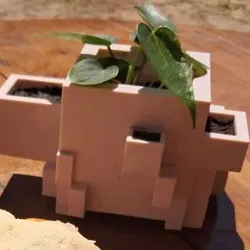 Multiple pot