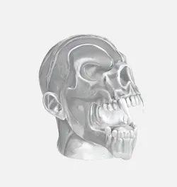 Zombie Skull Headphone Stand Amazing Model