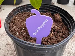 Pepper Shaped Plant Marker - Customizable Text  - Free 3D Print Model
