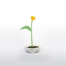 Polypod - Polygon flower pod