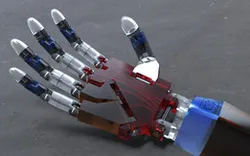 Robotic Hand