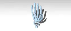Robotic Human Hand Skeleton