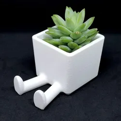 Succulent Planter / 3D printed planter / Legged Planter