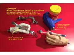 Gripper Thumb Terminal Device