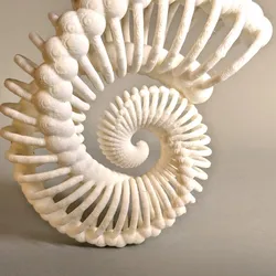 Bone Nautilus