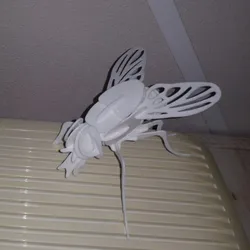 mosca