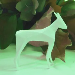Roe-Deer
